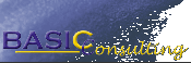 BASIC- Consulting Logo BASIC- Consulting Logo