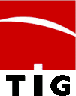 TIG International