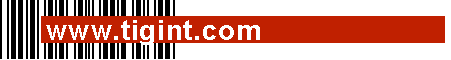 www.tigint.com